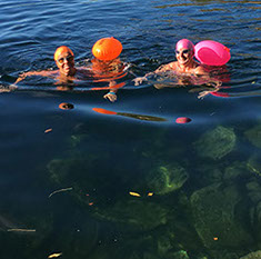 open-water-swimming-image